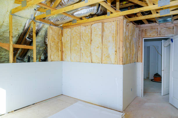 Best Eco-Friendly Insulation in Seis Lagos, TX