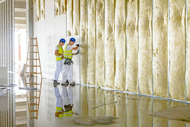 Best Insulation Maintenance and Repair in Seis Lagos, TX